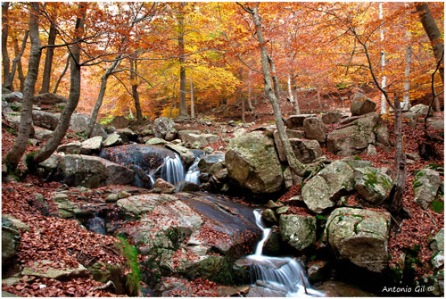 montsenyblog