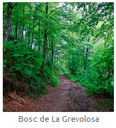 grevolosa