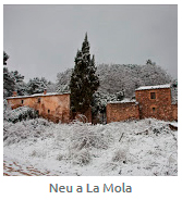 neumola