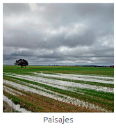 paisajes